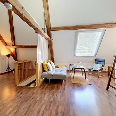 Jupiter Loft By Interhome * Goschweiler