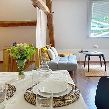 Jupiter Loft By Interhome Apartment Goschweiler